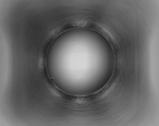 X0000111500641200907211031