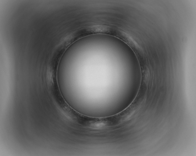 X0000111500643200907211031