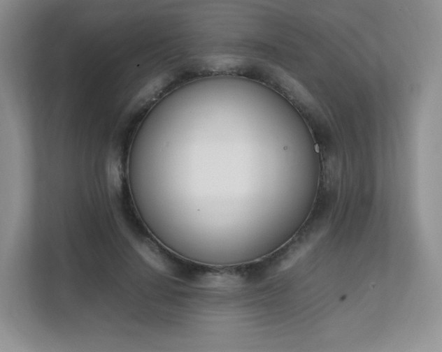 X0000111500644200907211031