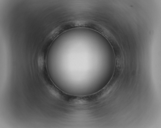 X0000111500648200907211031