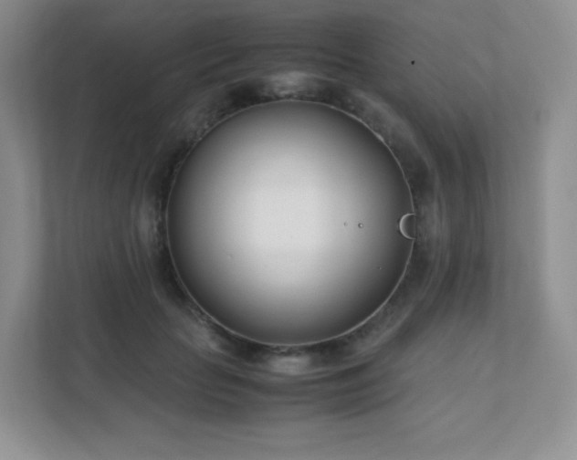 X0000111500653200907211031