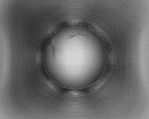 X0000111500654200907211031