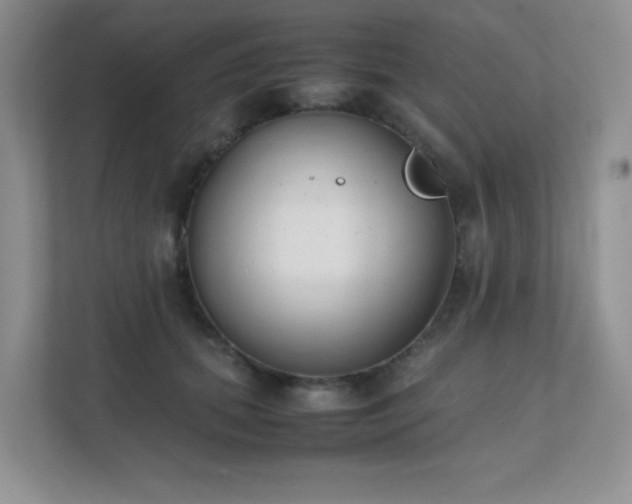 X0000111500655200907211031