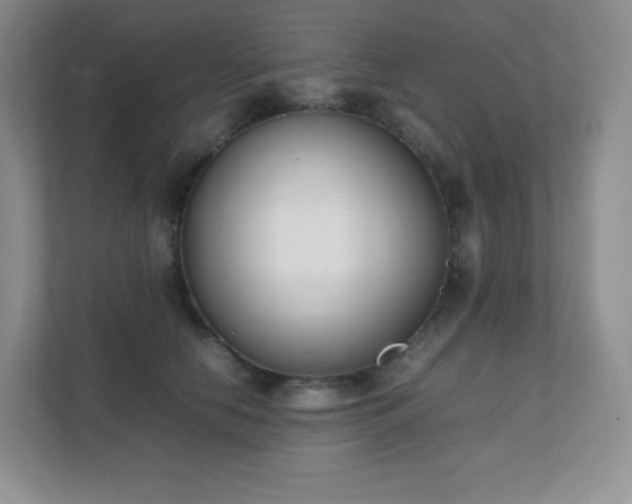 X0000111500658200907211031