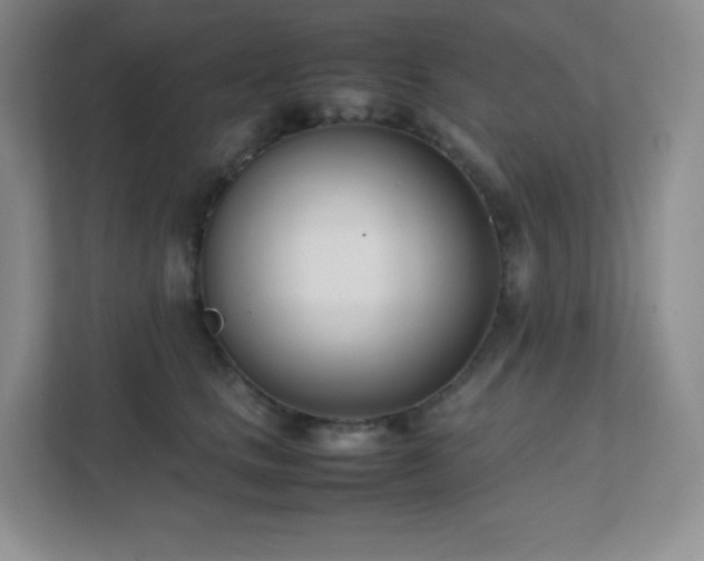 X0000111500661200907211031