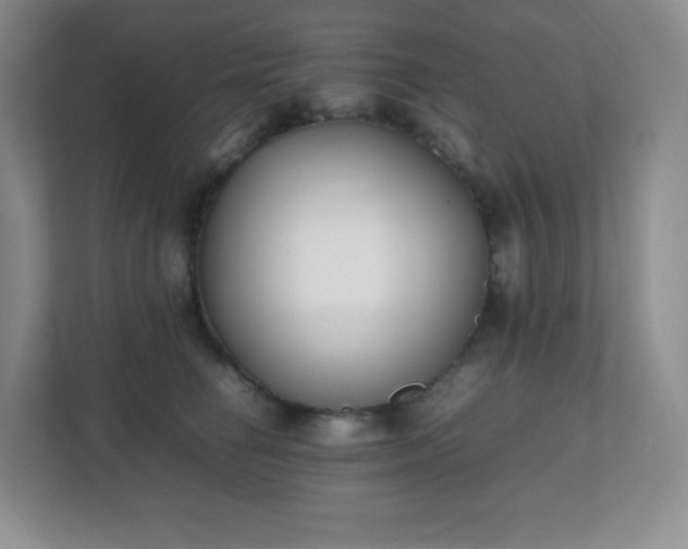 X0000111500662200907211032