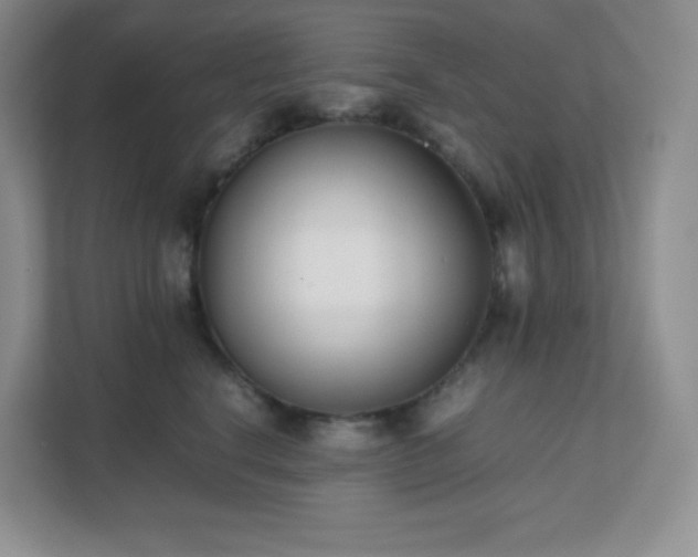 X0000111500664200907211032