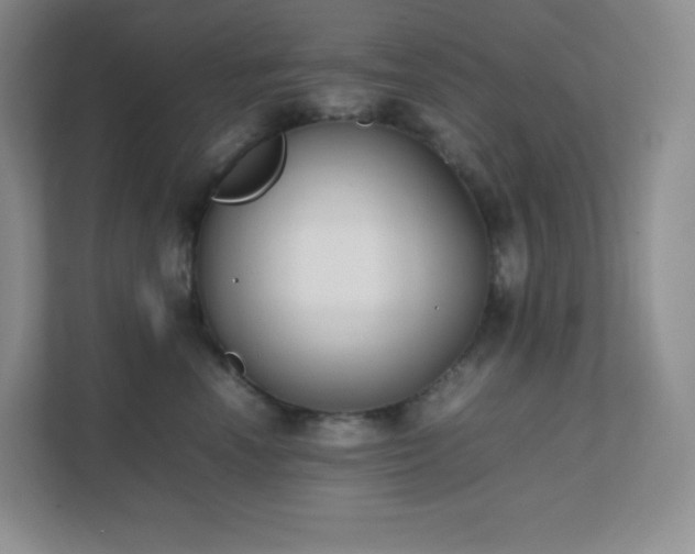 X0000111500666200907211032