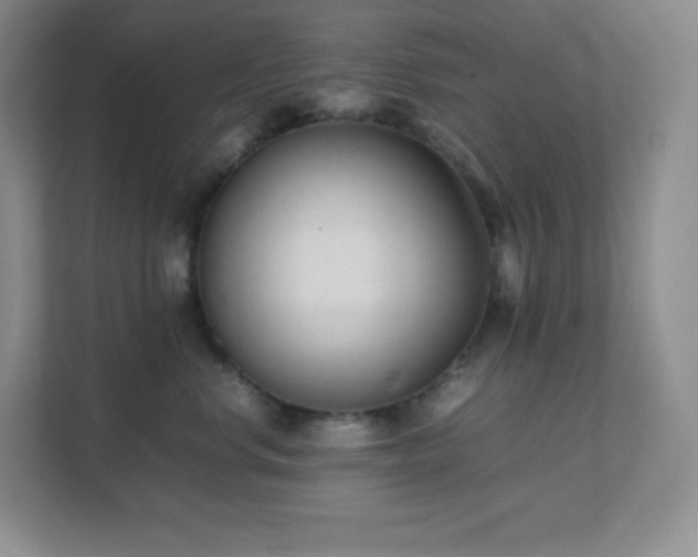 X0000111500668200907211032