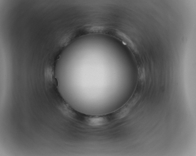 X0000111500669200907211032