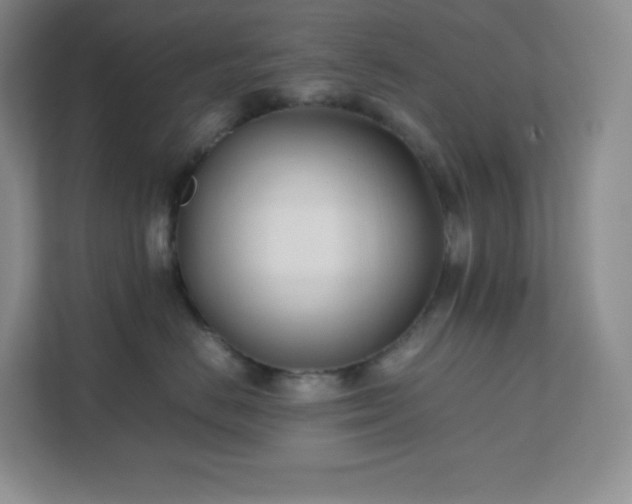 X0000111500670200907211032