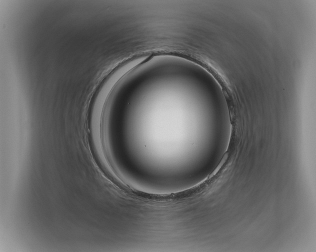 X0000111500673200907211031