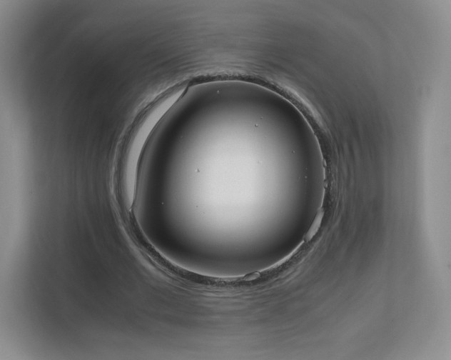 X0000111500677200907211031