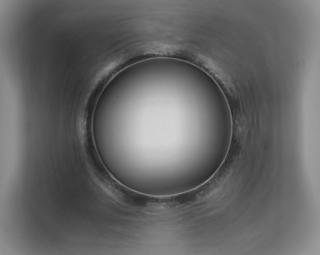 X0000111500679200907211031