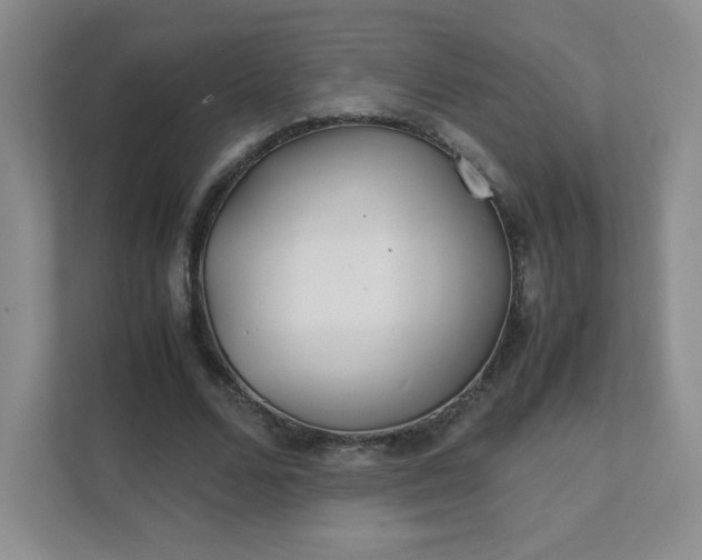 X0000111500680200907211031