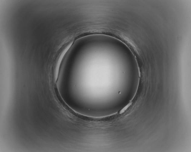 X0000111500681200907211031