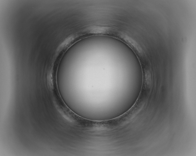 X0000111500682200907211031