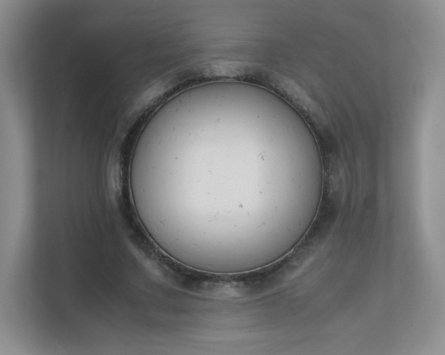 X0000111500683200907211031