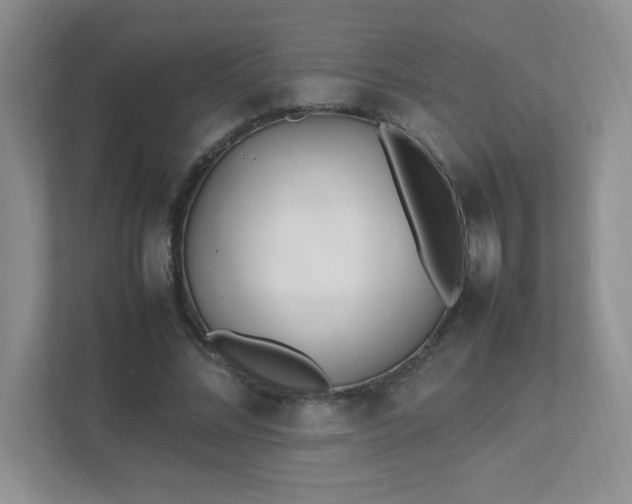 X0000111500684200907211031