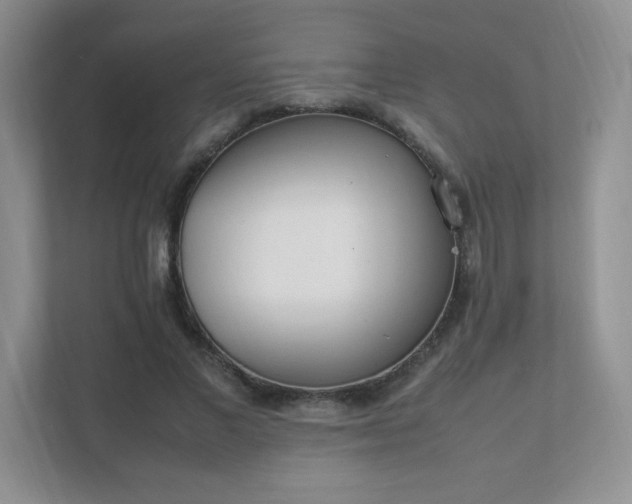 X0000111500685200907211031