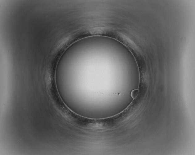 X0000111500687200907211031