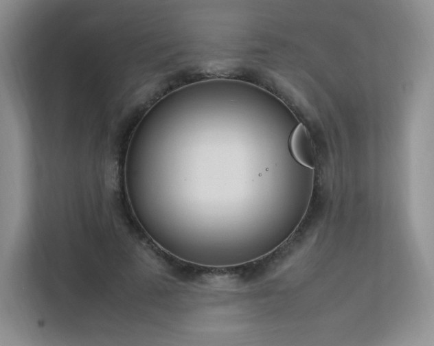 X0000111500689200907211031