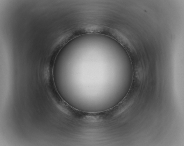 X0000111500690200907211031