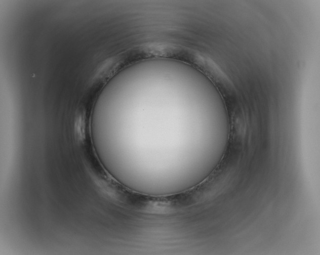 X0000111500694200907211031