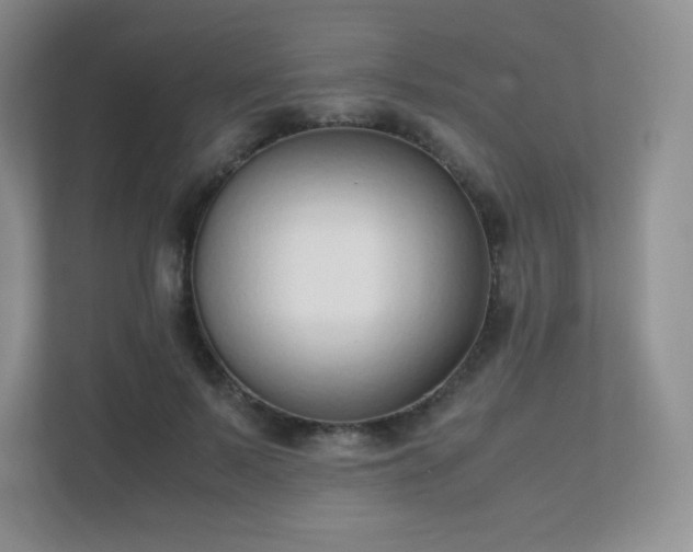 X0000111500695200907211031