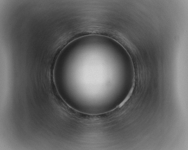 X0000111500696200907211031