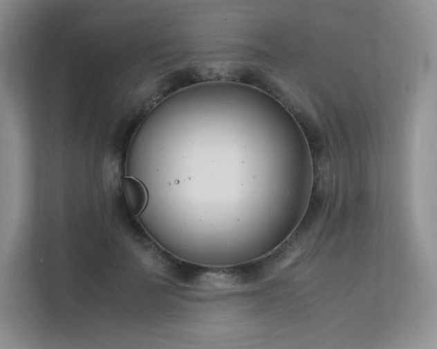 X0000111500699200907211030