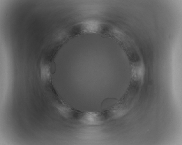 X0000111500701200907211030