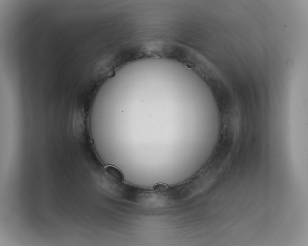 X0000111500702200907211030