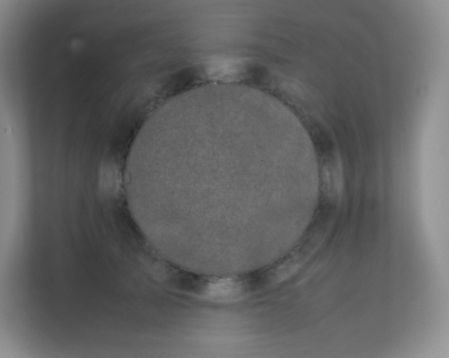 X0000111500705200907211030