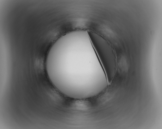 X0000111500708200907211030