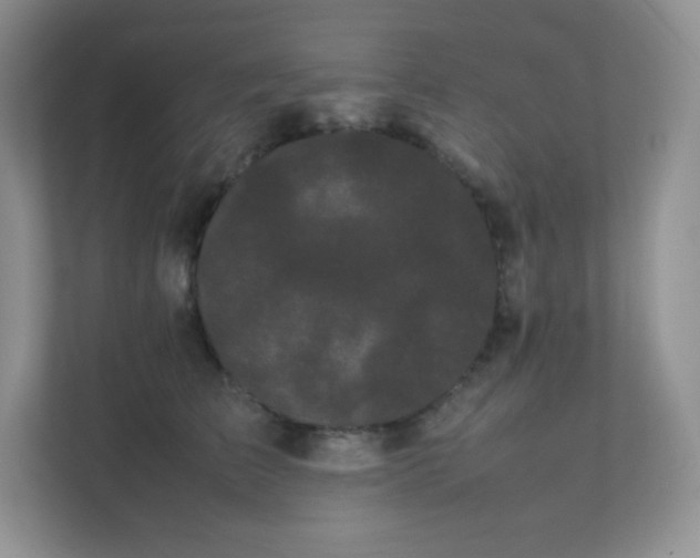 X0000111500709200907211030