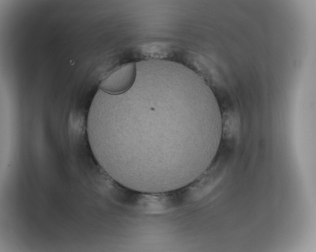 X0000111500713200907211030