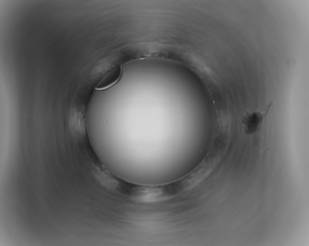 X0000111500719200907211030