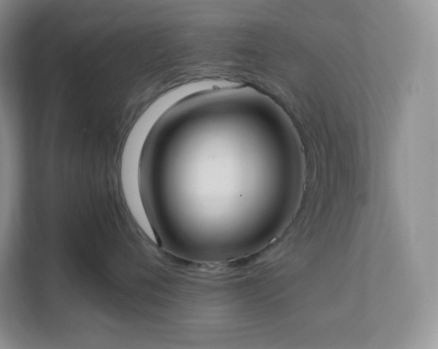 X0000111500720200907211030