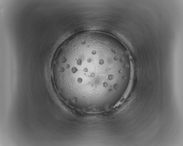 X0000111500721200907211030