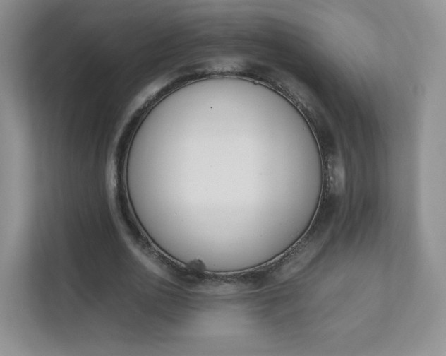 X0000111500726200907211030