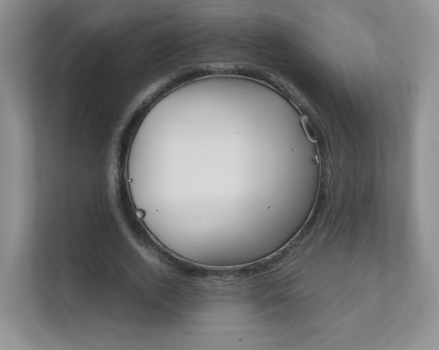 X0000111500728200907211030