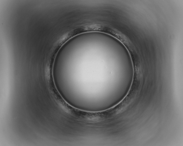 X0000111500729200907211030