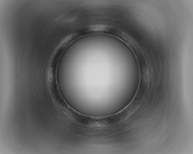 X0000111500731200907211030