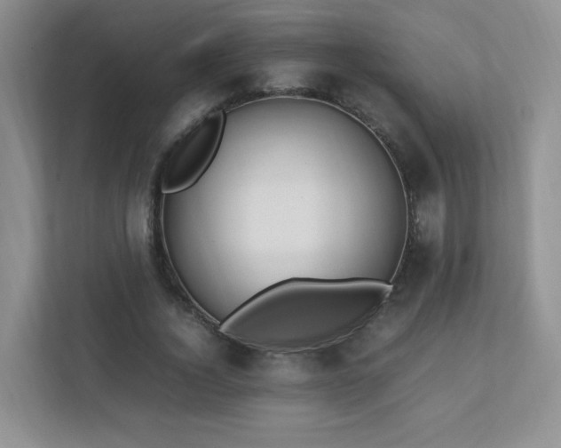 X0000111500732200907211030