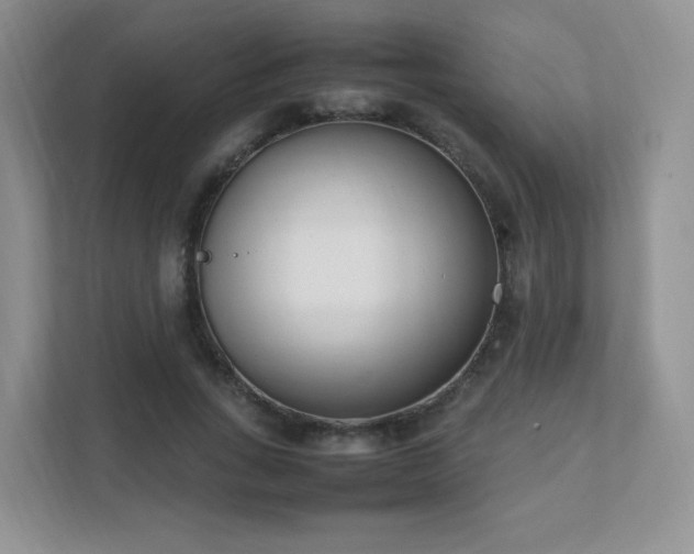 X0000111500735200907211030