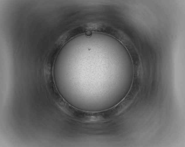 X0000111500737200907211030