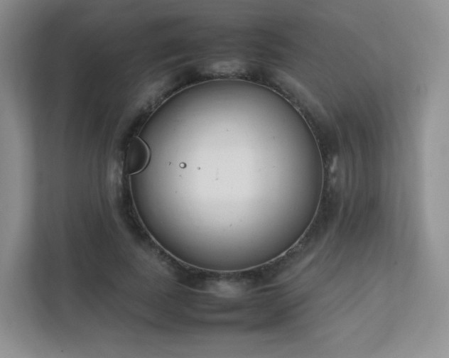 X0000111500739200907211030