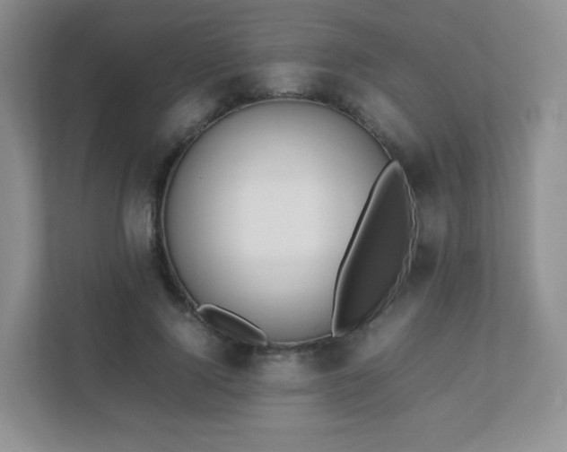 X0000111500740200907211030