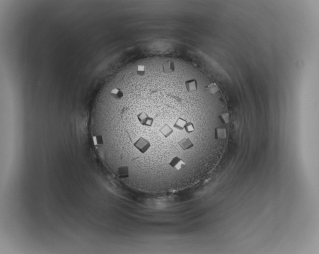 X0000111500745200907211030